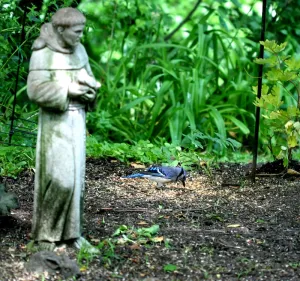 private garden and bird sanctuary