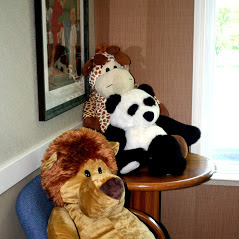 My Dental Care Family Dentistry Office Tour