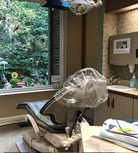 My Dental Care Family Dentistry Dental Space